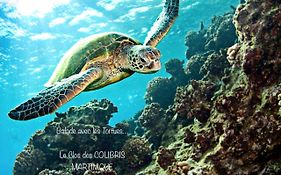 LODGE PAMPLEMOUSSE avec PISCINE privative , dans parc calme à 500 m plage